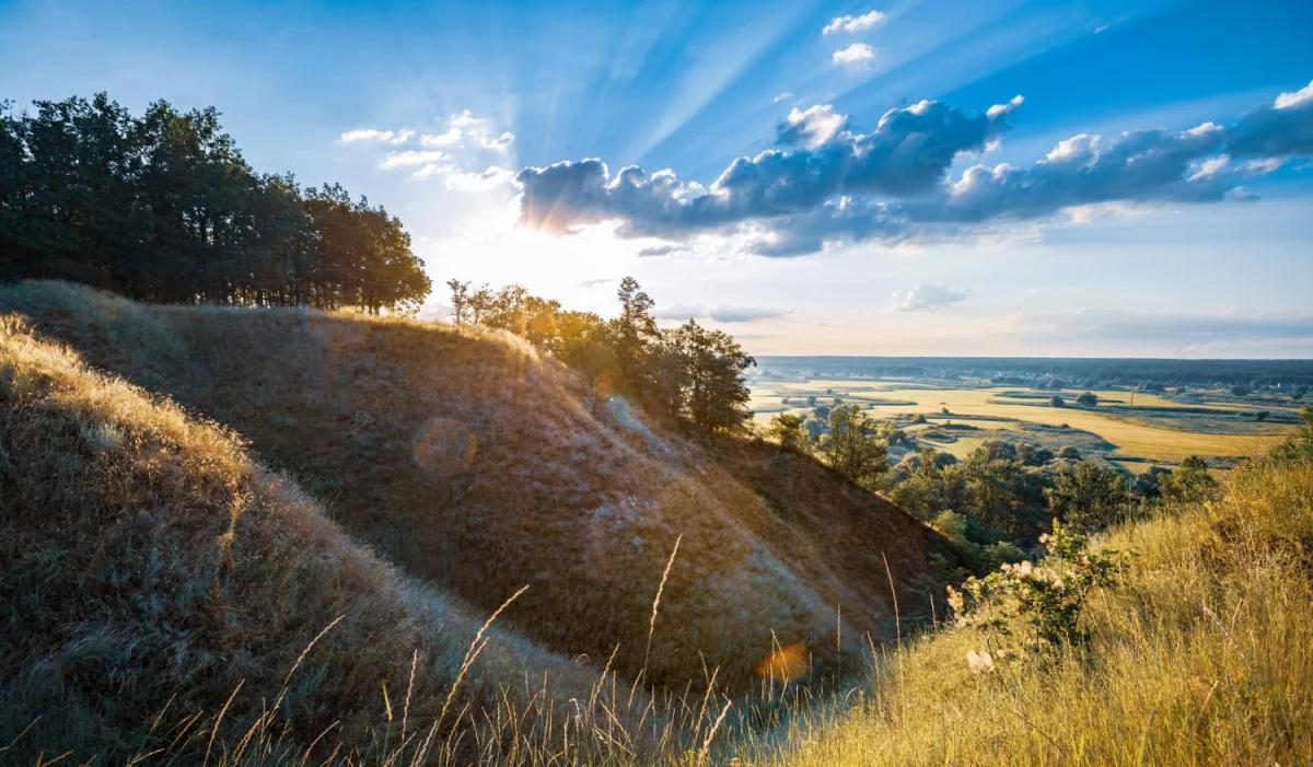 Chciał Tylko raportować do ESG. Popełnił Błąd, Który Kosztował Go ...