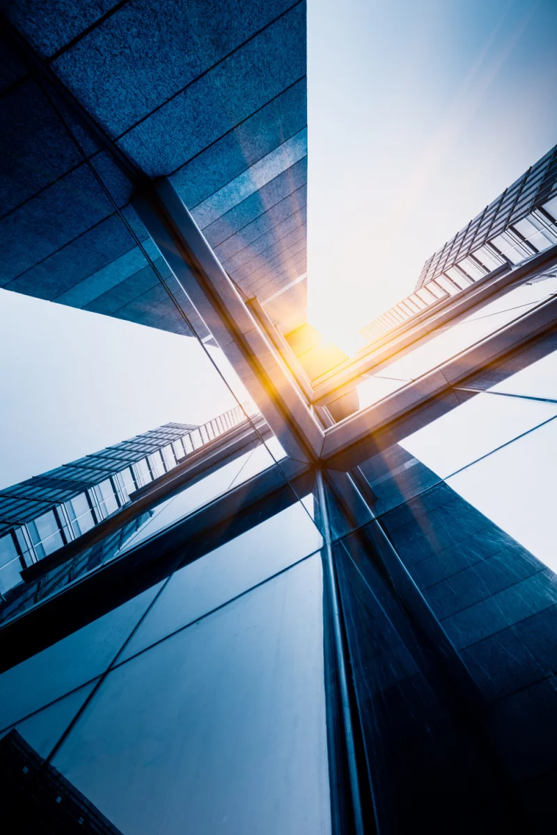 Co warto wiedzieć na temat wegatarianizmu