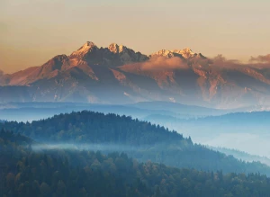 Sposób na to aby  kupić wyposażenie domu na sto procent!