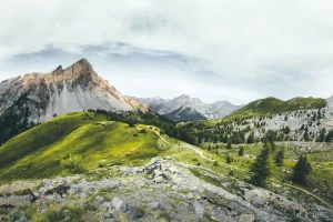 Te porady jak kupić szkolenia okresowe bhp zaskoczą nawet profesjonalistę!