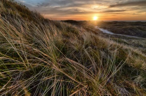Daj Mi 10 Dni A Ja Pokażę Ci Jak kupić klimatyzację